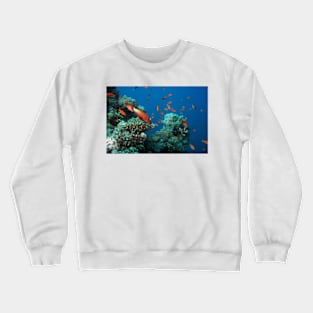 coral reef with fishes Crewneck Sweatshirt